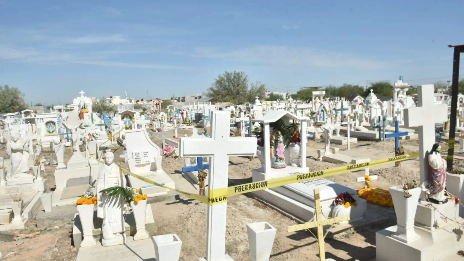 03 Abejas atacan a visitantes en panteón6